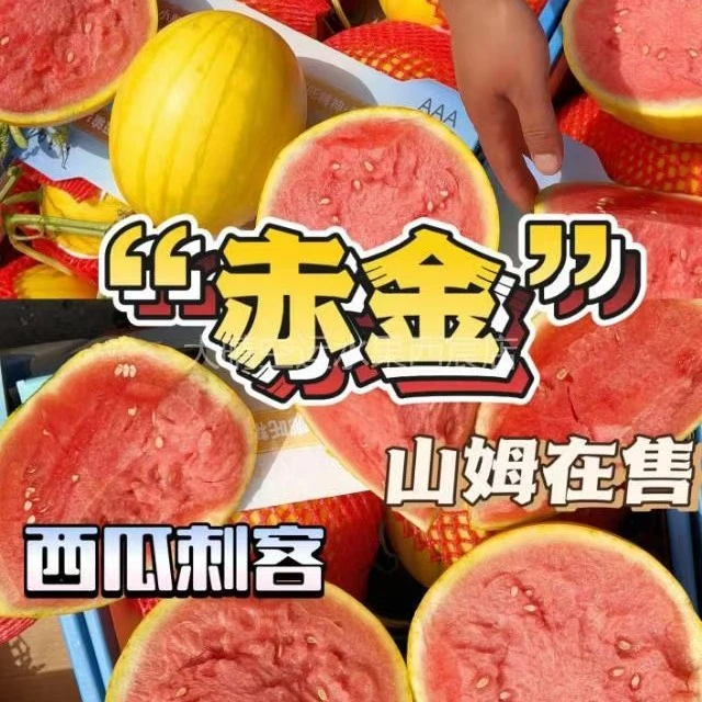 【黄金头茬甘美4K西瓜3到10斤】酥脆香甜送货上门新鲜云南省
