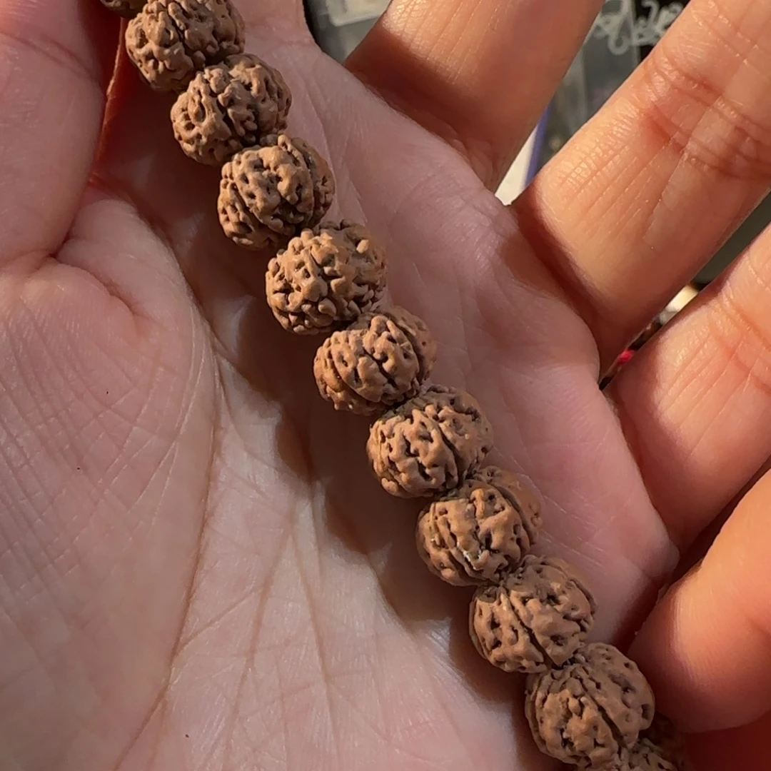 吊坠金刚菩提树王