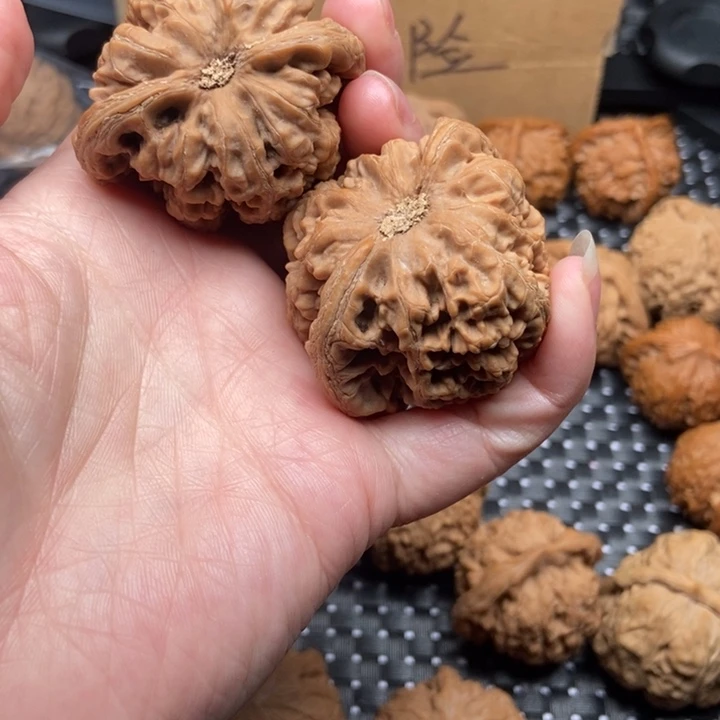 财***源大大大大大粗筋将就对