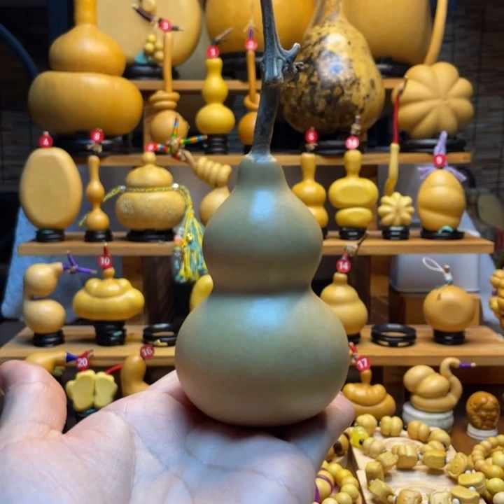 龙***主天然葫芦自然生长