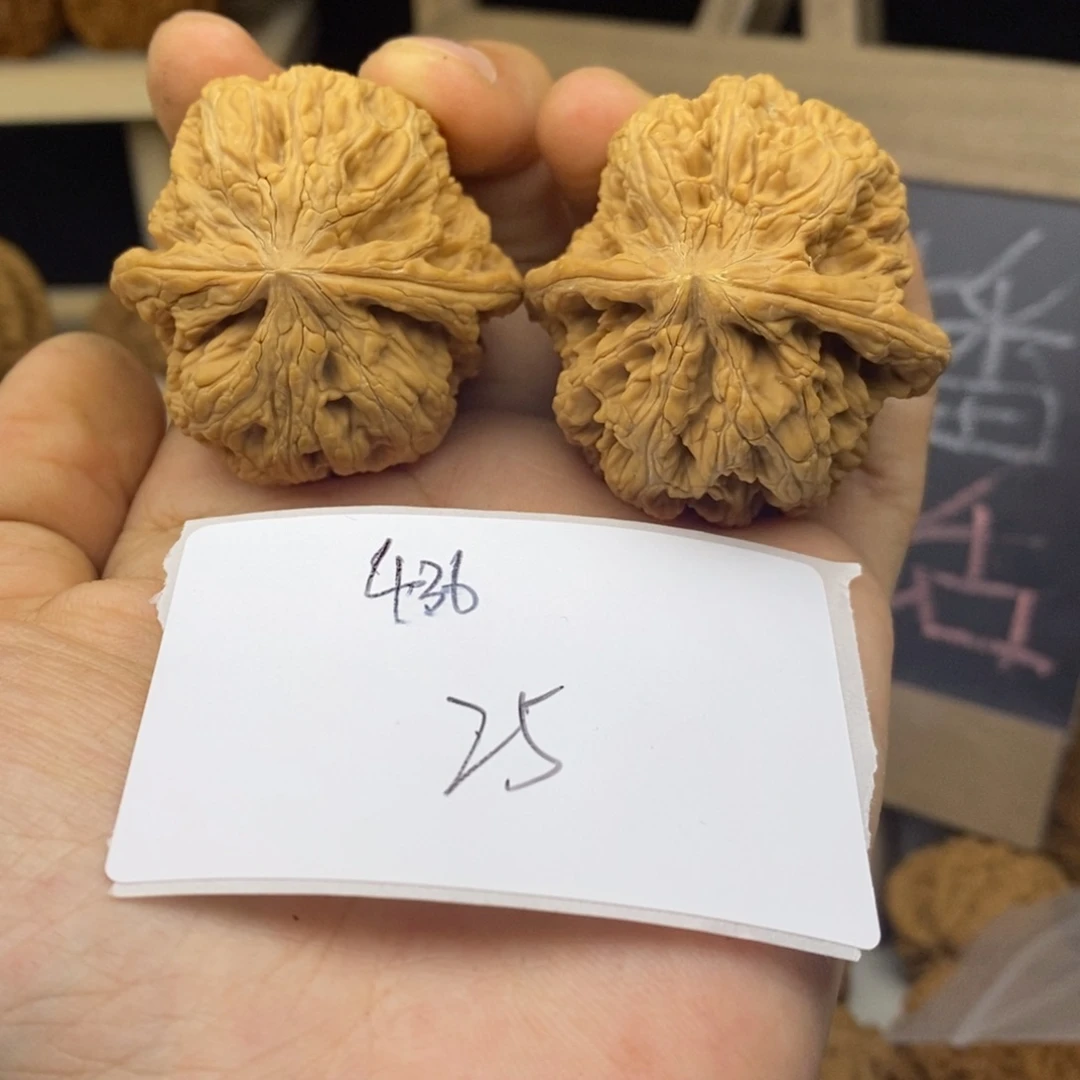 全品将军膀42+文玩核桃