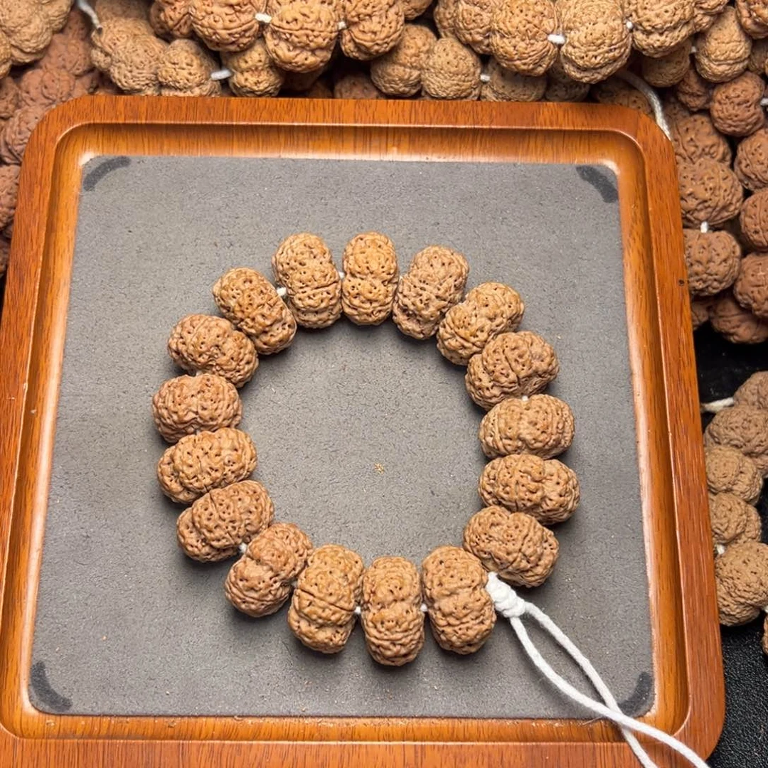 菩提16号尼泊尔大金刚24.5/25五星梅花蜂王夹板