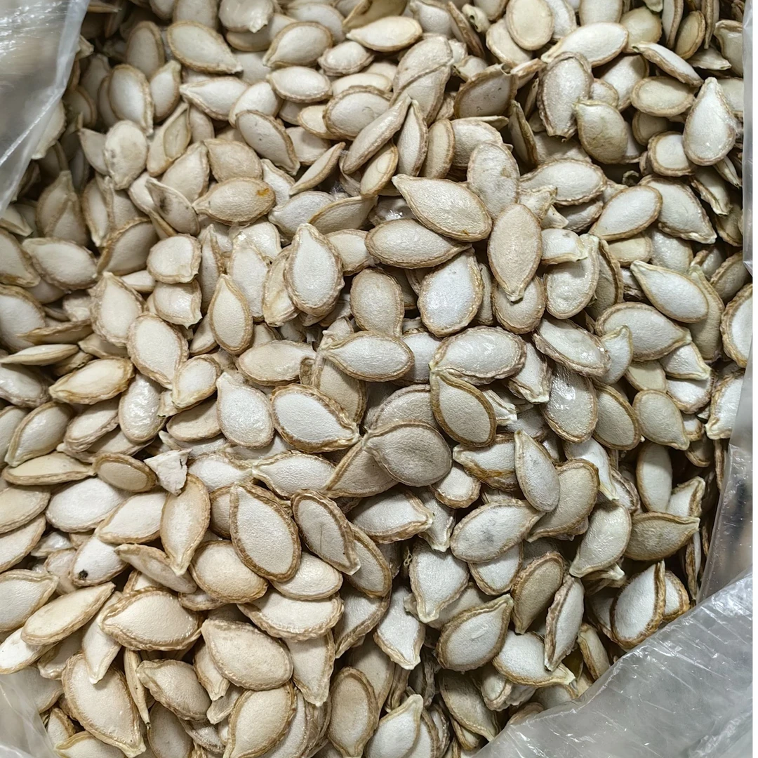 南瓜籽直播间现场 称重 现场挑选