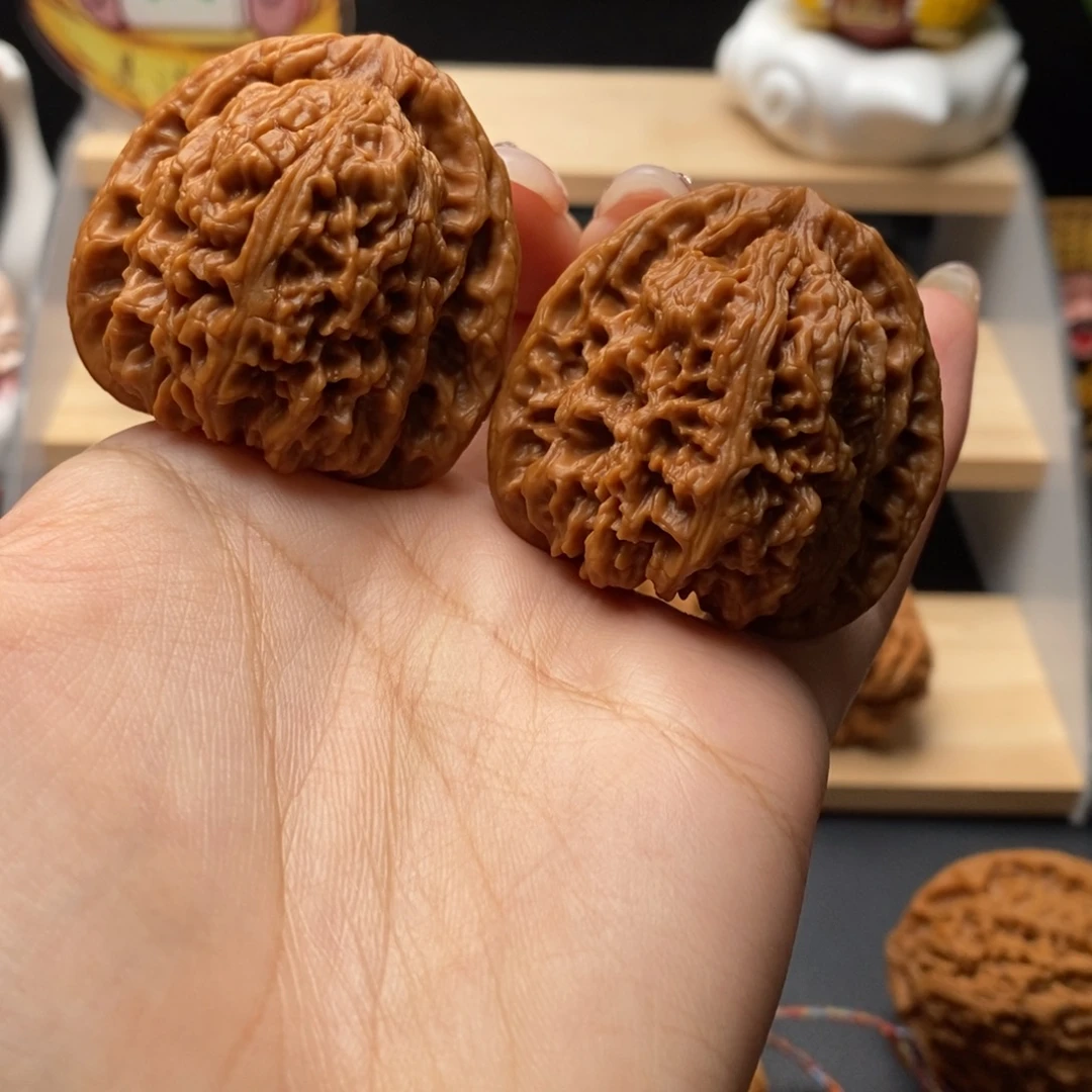 42.40.41正高炮 涿鹿老树一代全品