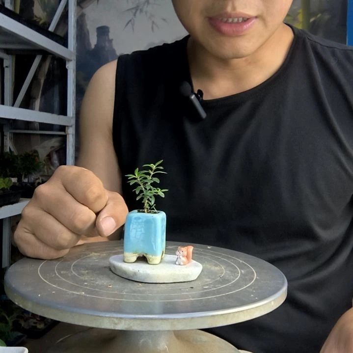 w****.中青园艺一物一拍4