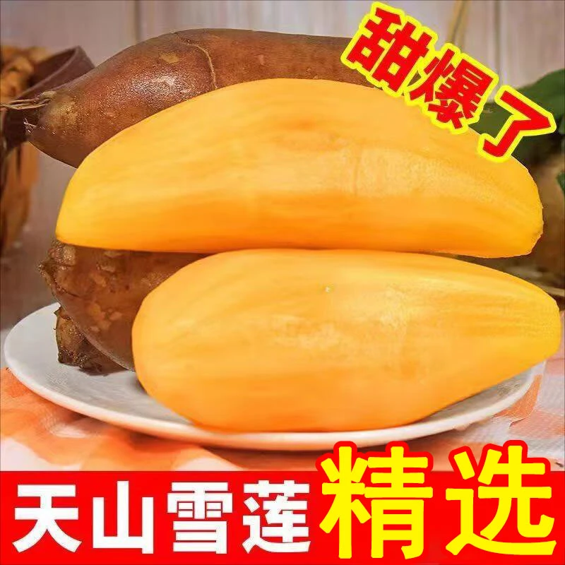 雪莲果脆甜多汁孕妇水果