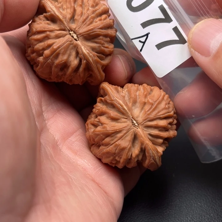 桃核把件凤凰44个