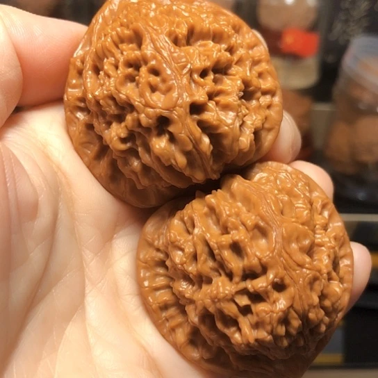 粗筋半肉球体：水龙纹