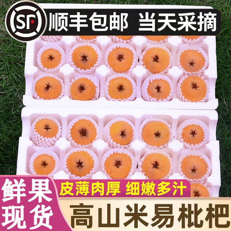 【顺丰现货】四川米易枇杷琵琶果新鲜孕妇应季水果大枇杷果特大号