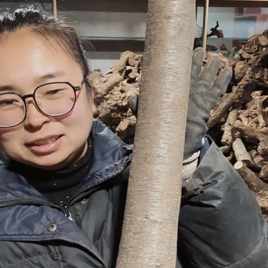 香榧木哪***_火琉璃的毛料摆件