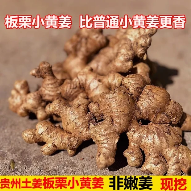 贵州正宗农家老品种土小黄姜板姜老姜