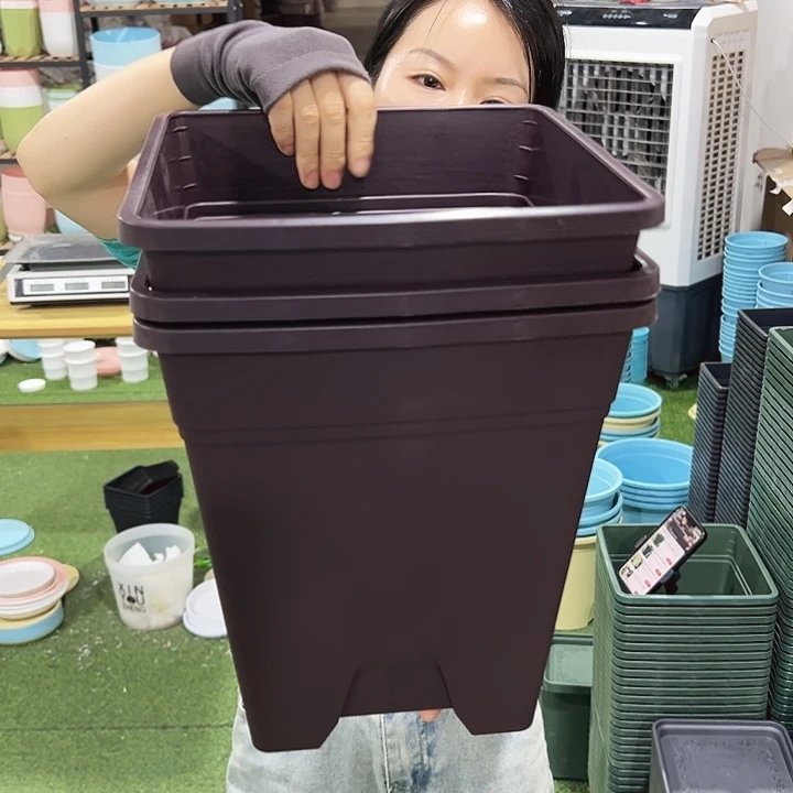 方盆口26高28紫砂色3个无托