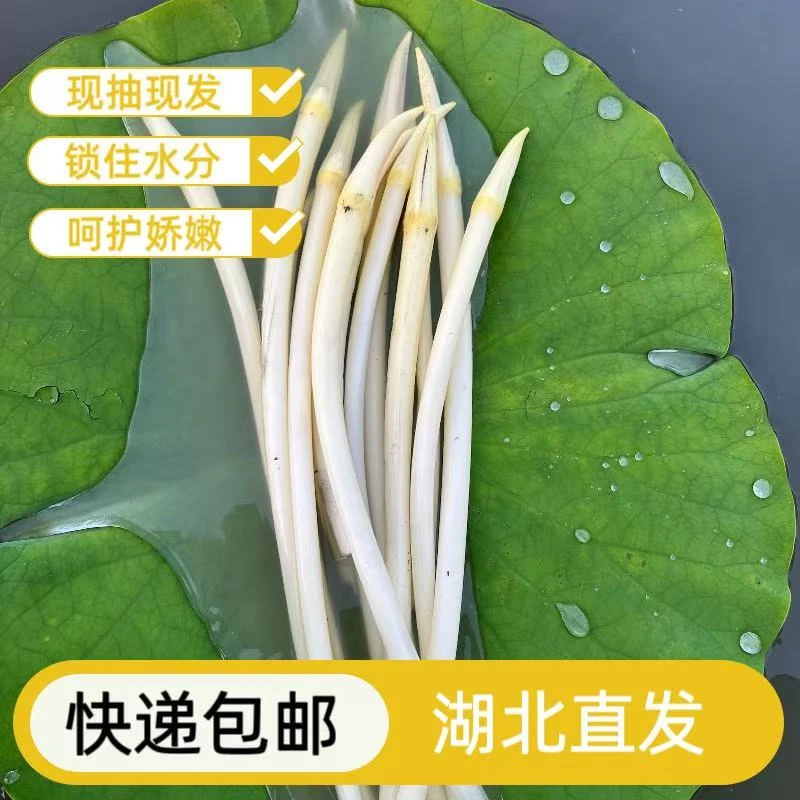 湖北农家新鲜藕带现抽现发藕肠子时令蔬菜脆嫩爽口