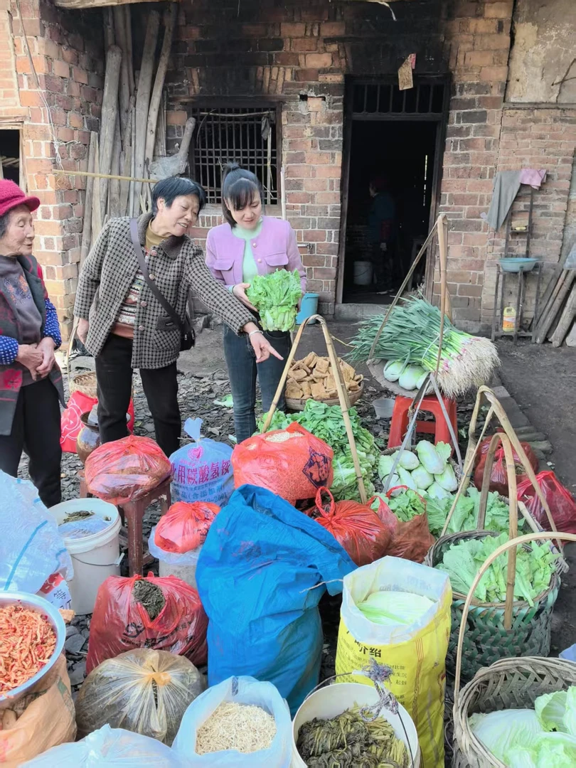 【助农本地新鲜菜】湖南高沙助农土特产