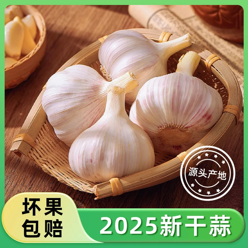 【邳州特大紫白皮大蒜】当季净蒜新干蒜精品大蒜头干蒜头净重3斤5斤