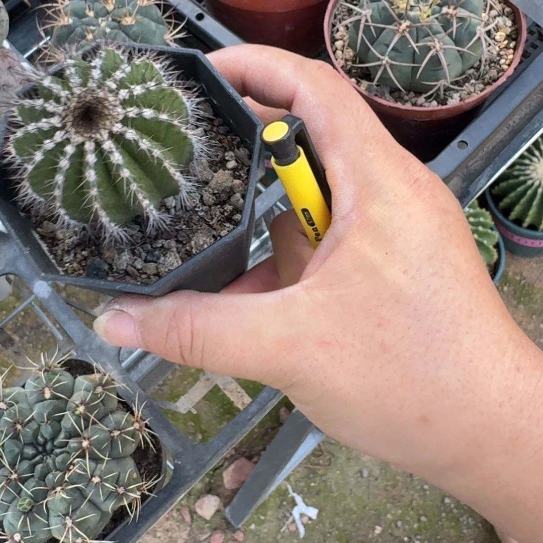 健***安可口可乐可口可乐