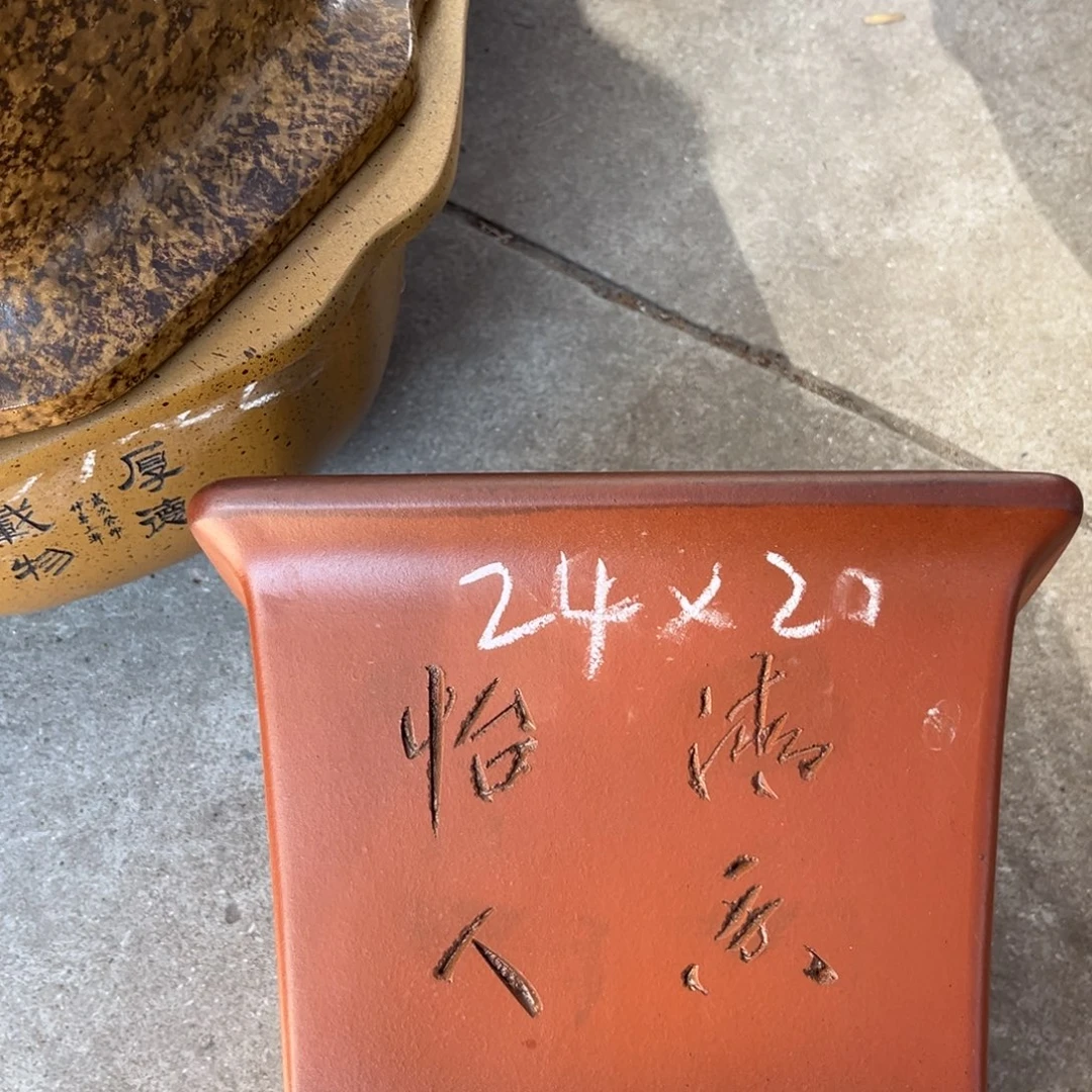 紫砂花盆盆景艺术