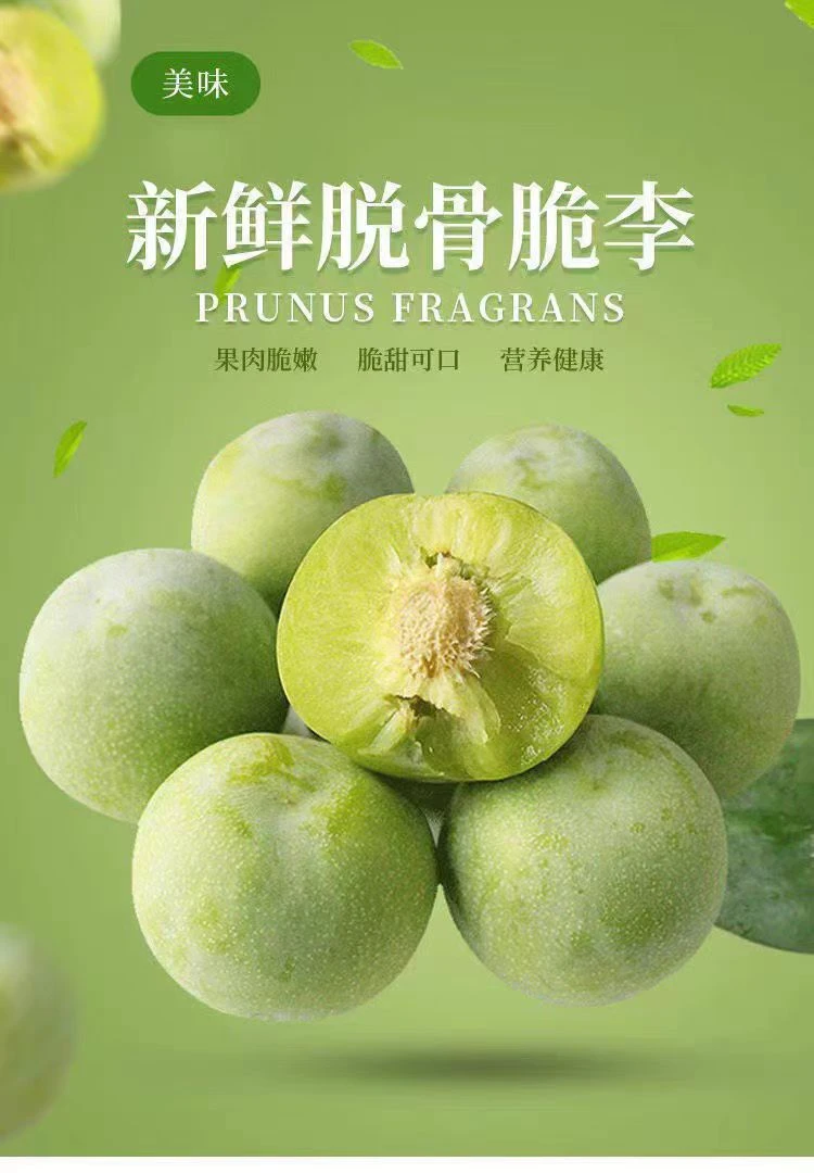 正宗重庆脱骨青脆李新鲜应季水果爽脆多汁老少皆宜