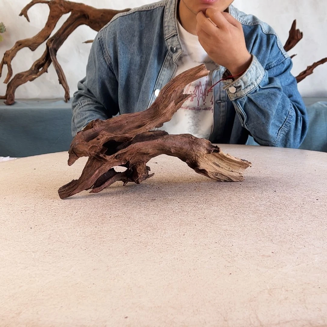 沉木造景爬宠造景