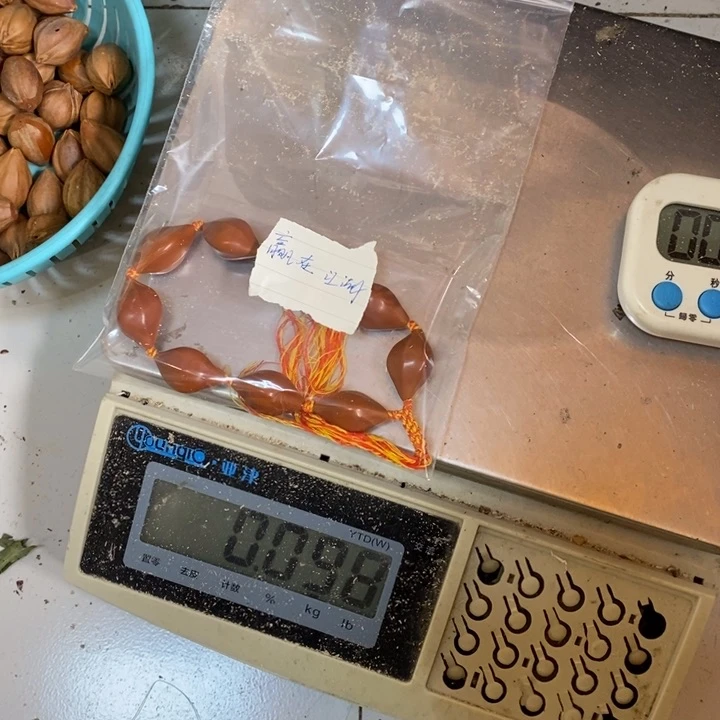 吊坠橄榄核赢**湖這個問題