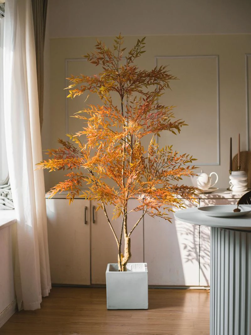 直播间一物一拍南天竹盆栽轻奢绿植客厅落地装饰摆件