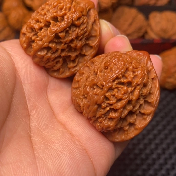 秦岭野生11111111