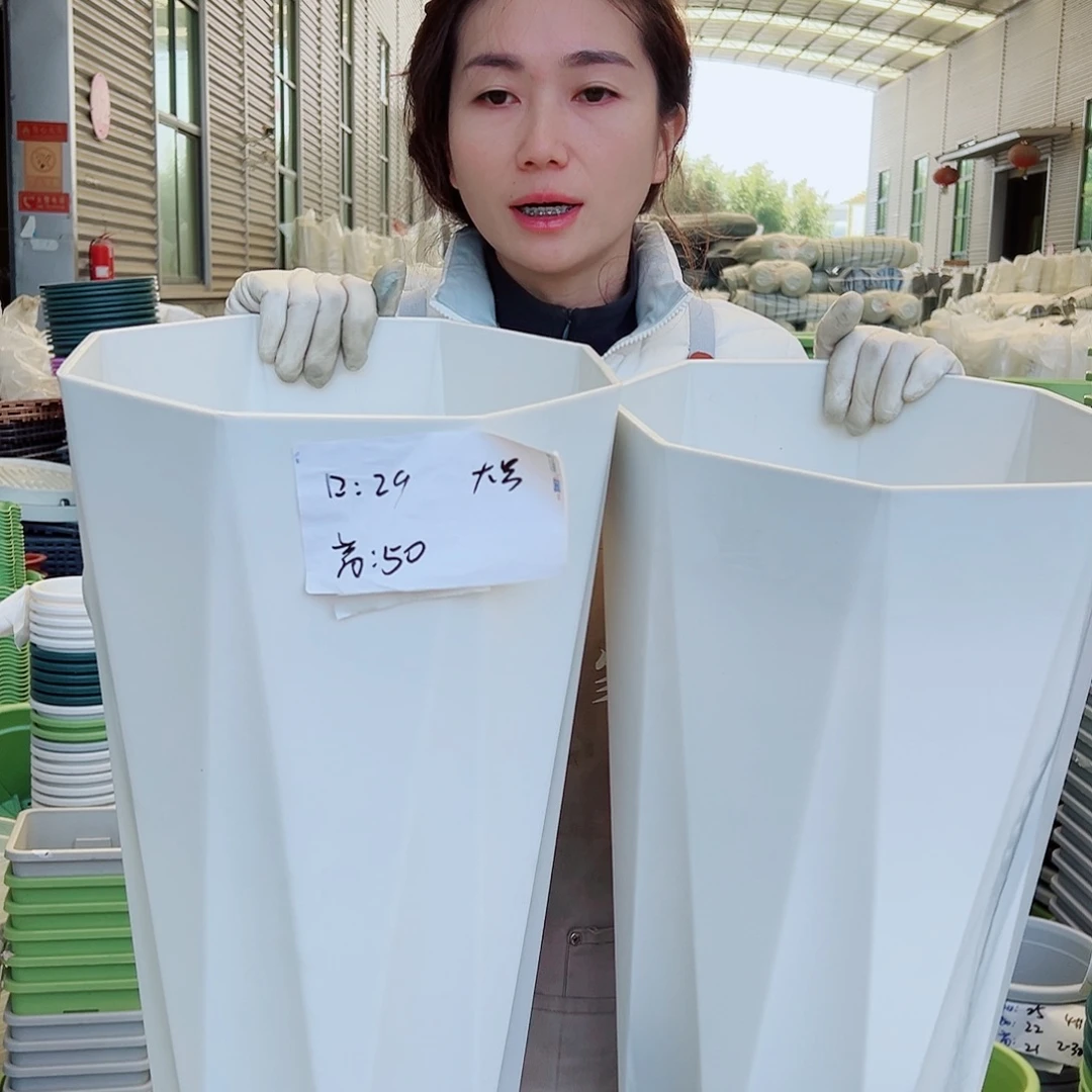 瑕疵八角大号白色2个无托
