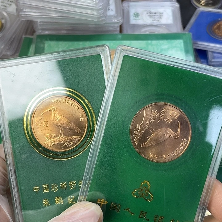 其他普通金属朱丹一对