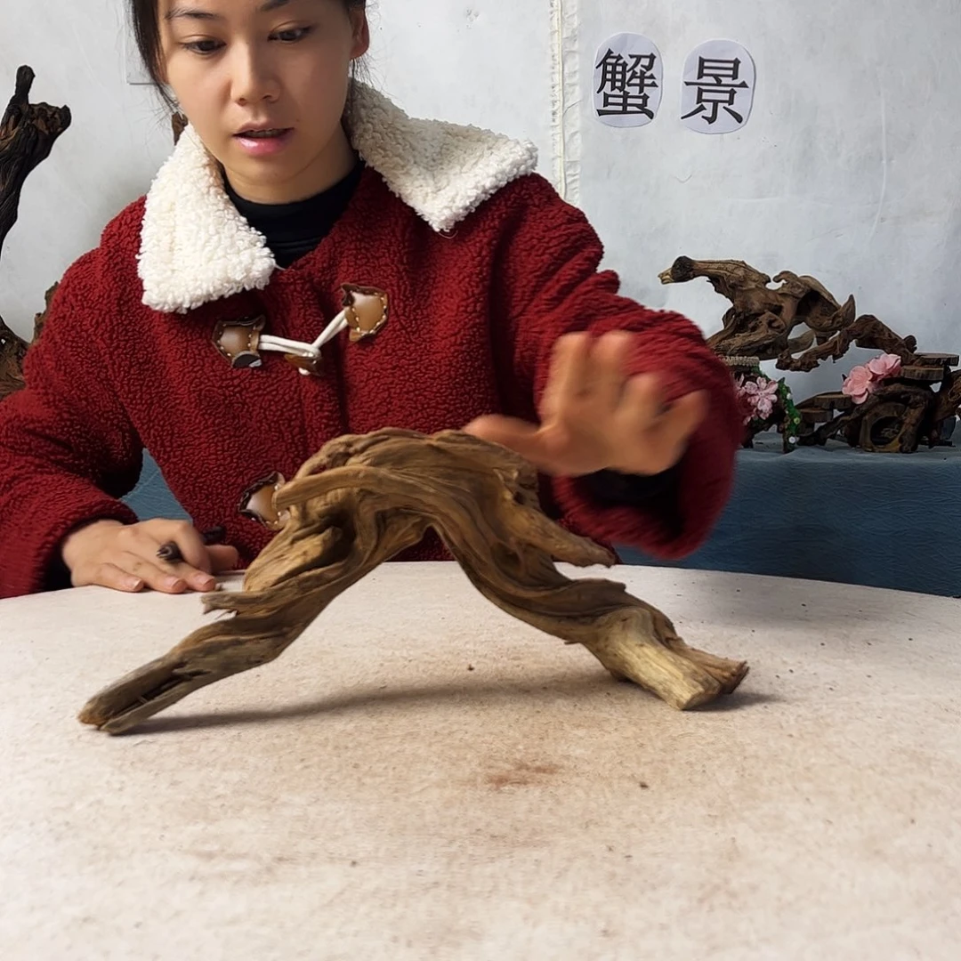 沉木造景爬宠造景