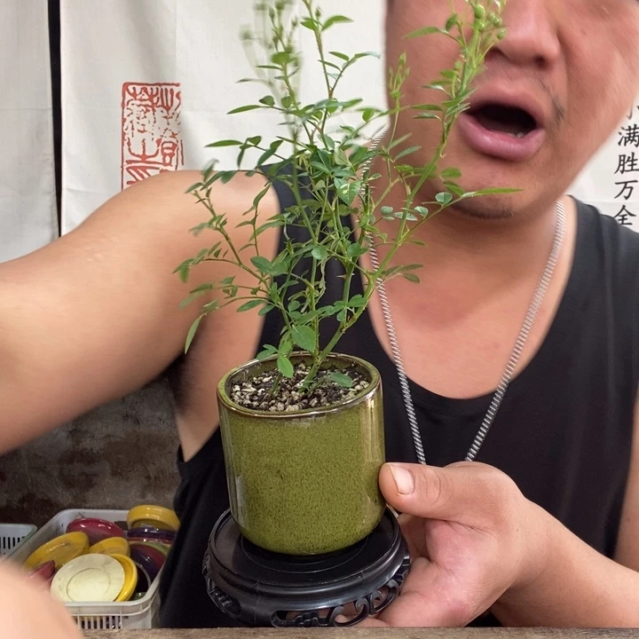 一物一拍所见即所得240