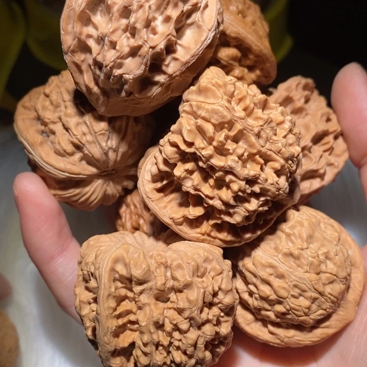 ～****吊坠文玩核桃精品课程和专业的教育课程