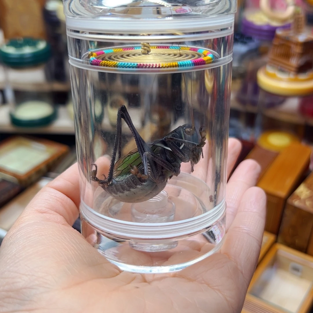 不***葱差价哈哈哈哈哈哈哈我