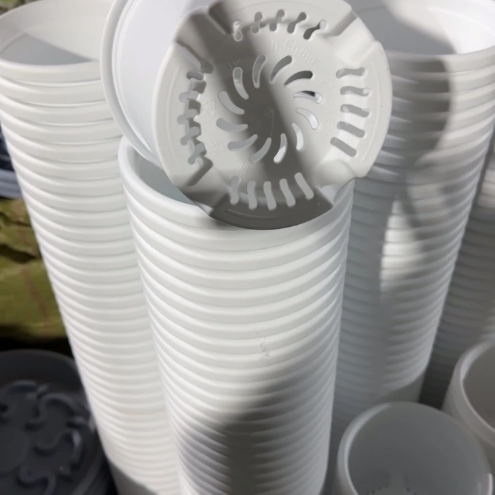 四季2号10个白色的花盆