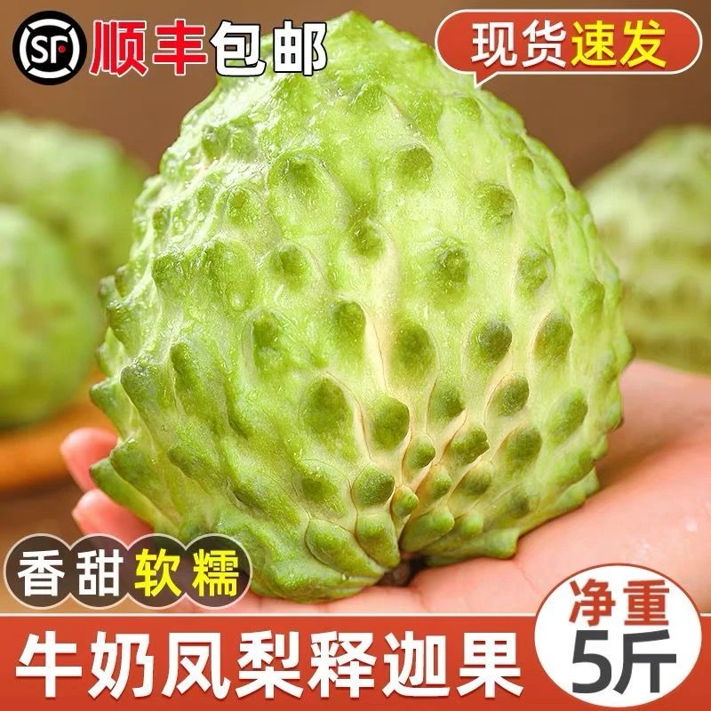 S2【顺丰速运】云南新鲜现摘释迦果凤梨番荔枝牛奶释迦果摩尼果大果