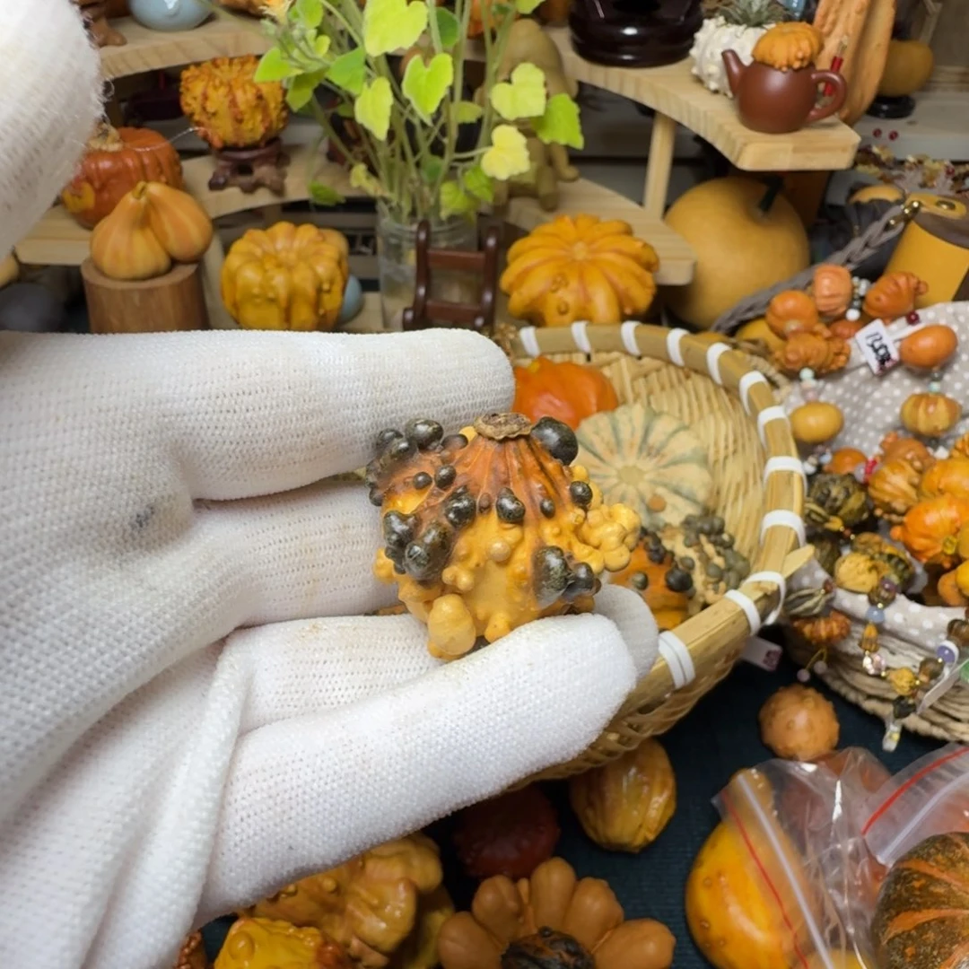 淺*特价葫芦不退不换