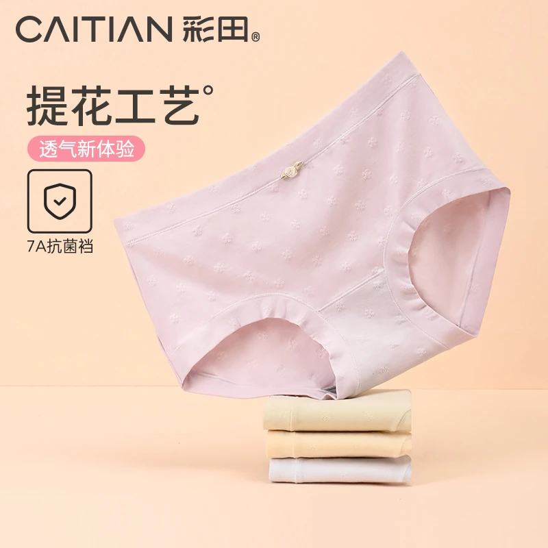彩田24年新款内裤女棉莫混纺抗菌底裆柔软亲肤干爽中腰女士三角裤