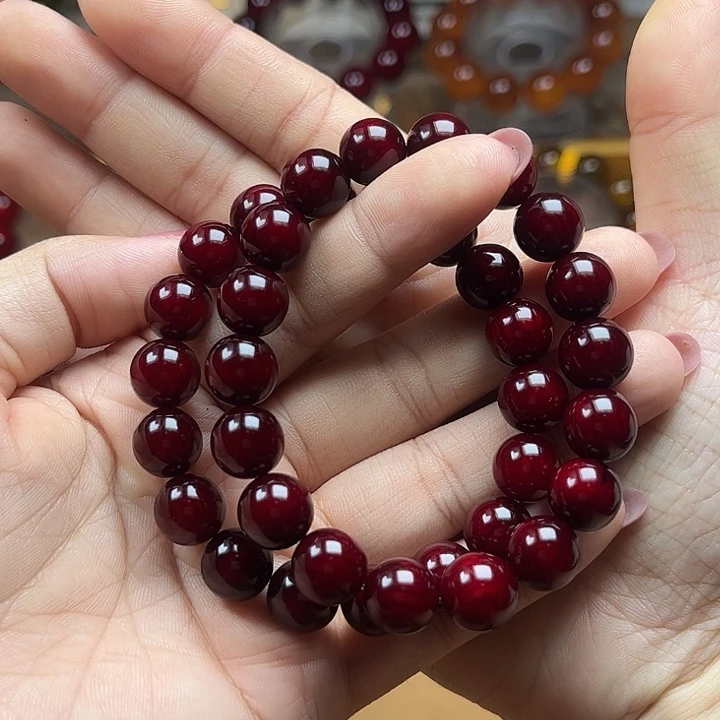 小***豆贝壳杉（血龙木）其他