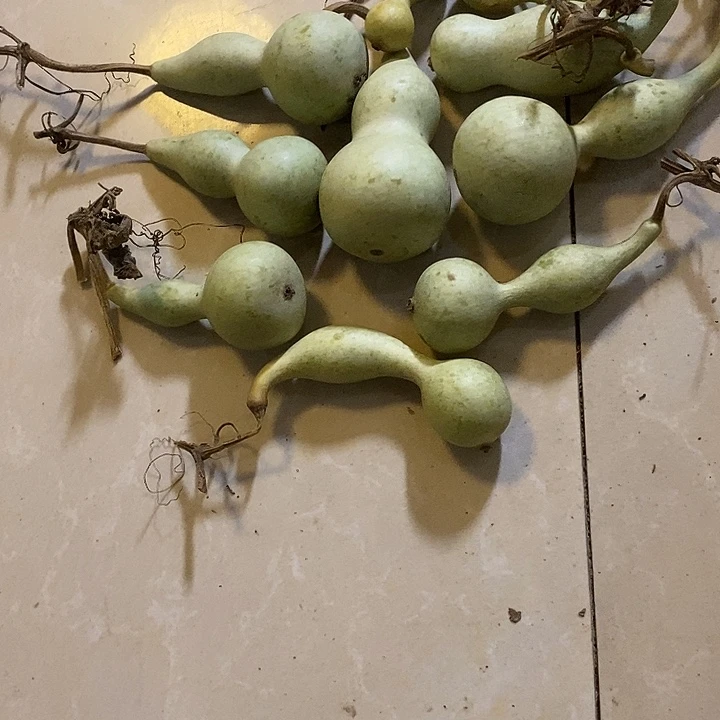G***D青皮葫芦手把件摆件