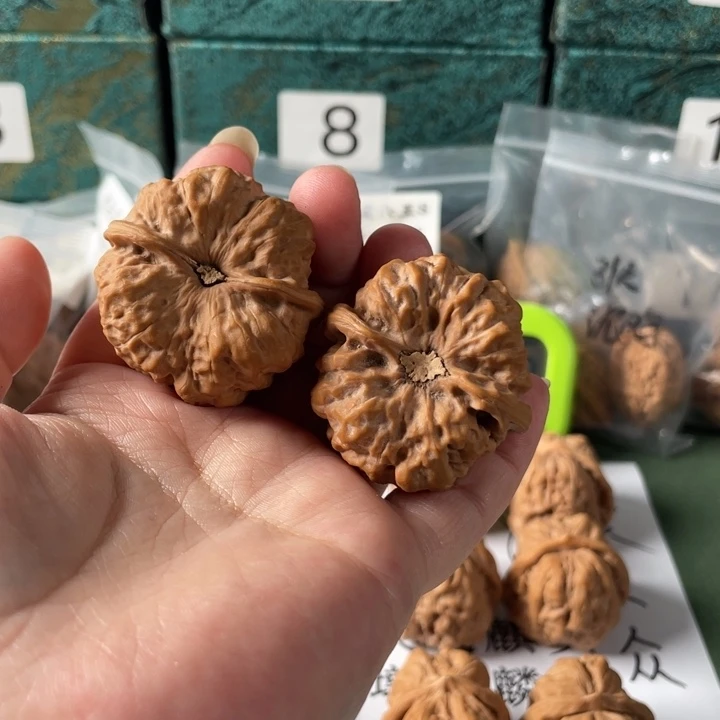 人***生把件文玩核桃蛤蟆0004