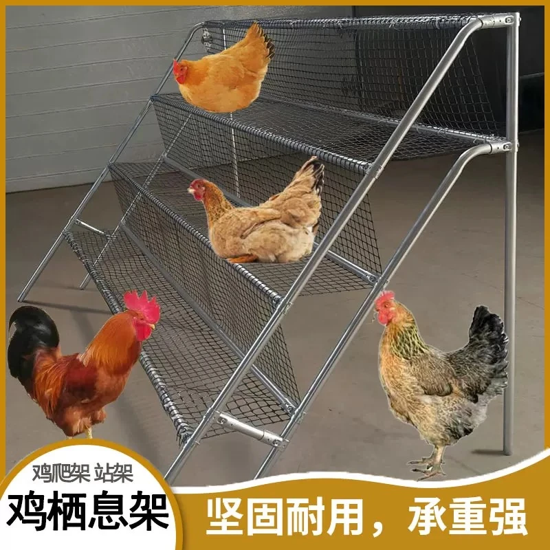 鸡栖息架鸡爬架鸡站架鸡爬梯鸡栖架鸡睡觉休息养殖网架子