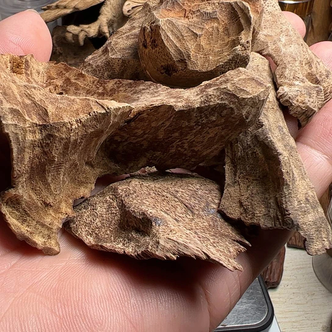 沉香沉香碎屑柬埔寨沉香壳料20克