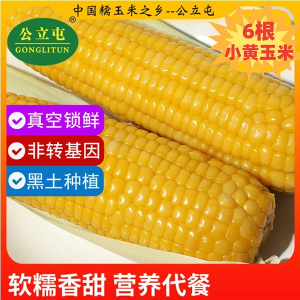 公立屯黄玉米小棒6根特惠装25年新鲜头茬东北粘玉米
