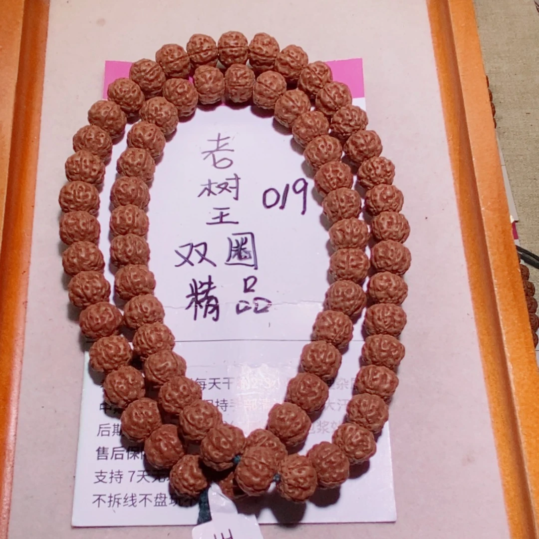 手串金刚菩提019老树王双圈10