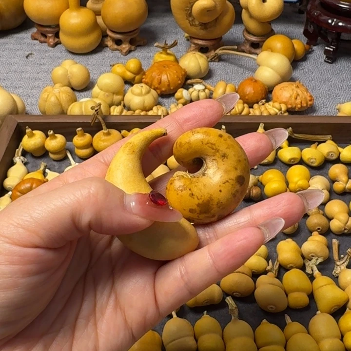 幸****❤我的小可爱们都好可爱