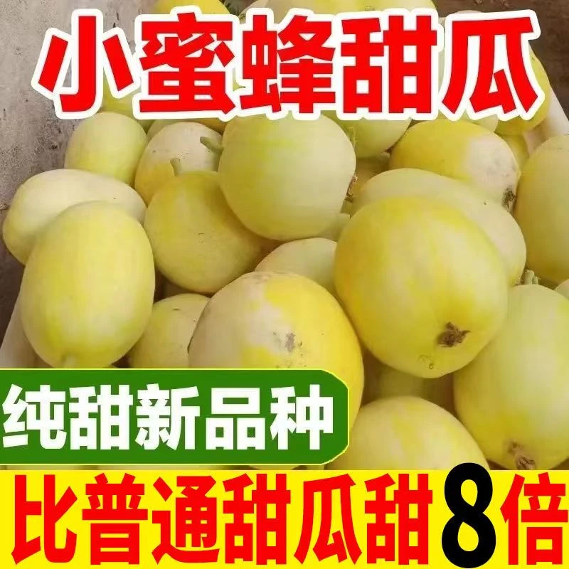 【超甜】小蜜蜂甜瓜老品种小香瓜应季水果整箱批发非绿宝羊角蜜
