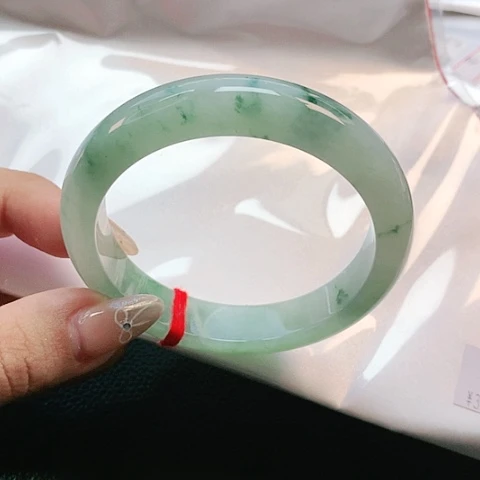 未镶嵌手镯翡翠1685
