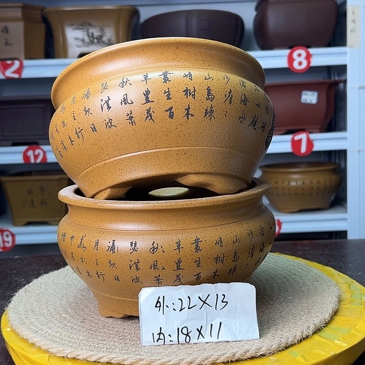 紫砂花盆蛇年大吉
