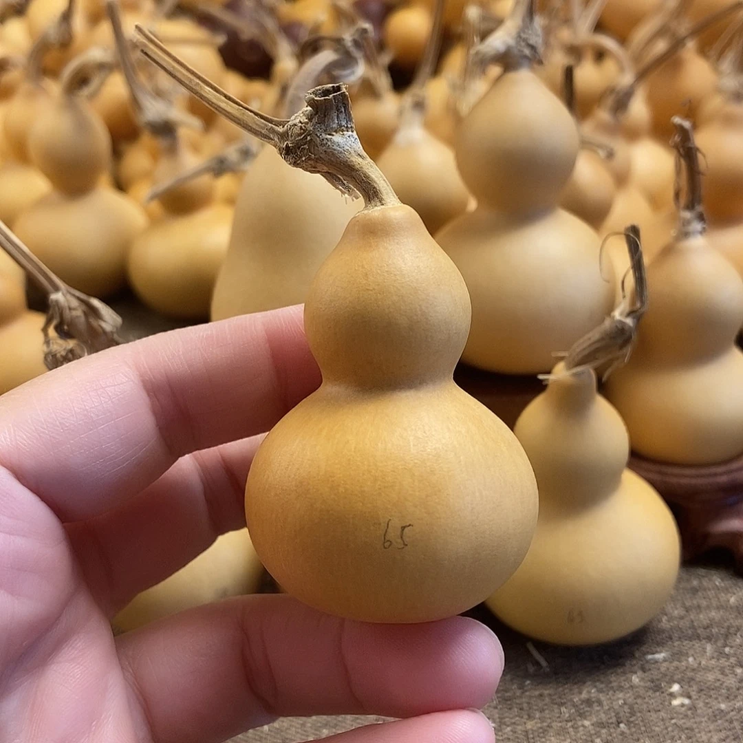 文玩葫芦 完美主义者 慎拍65