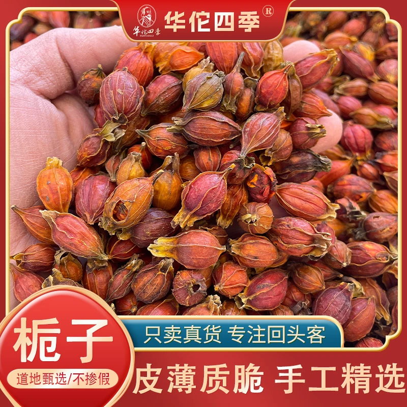 华佗四季栀子江西当季新货栀子茶大颗栀子山栀子皮薄质脆泡水泡茶