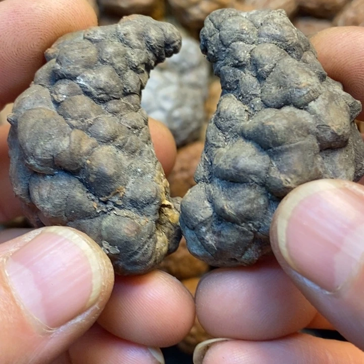 吊坠桃核娜姐真的24